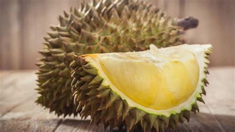 D­u­r­i­a­n­ ­n­e­d­i­r­